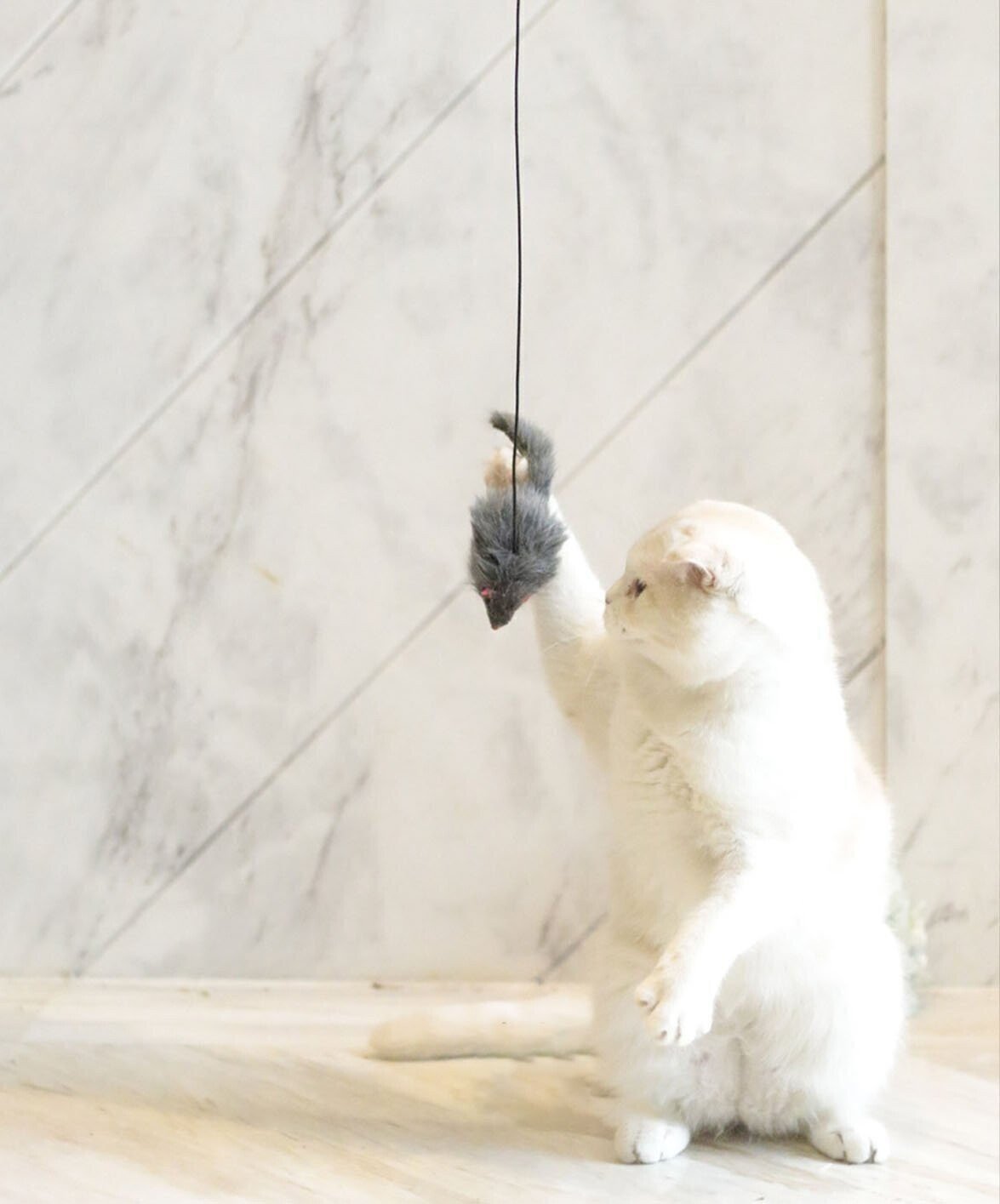 Hanging Mouse Interactive Indoor Cat Toy