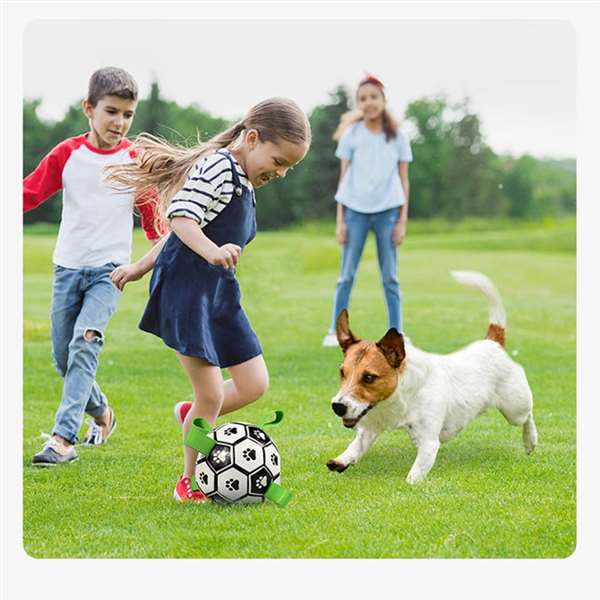 ⚽Dog toy soccer ball with grab tabs - Buy 2 get 10% off&free shipping
