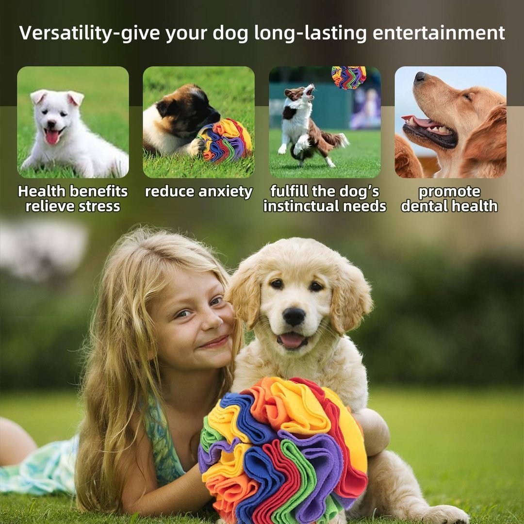 Dog Snuff Ball Dog Training Toy - Improve Pet IQ