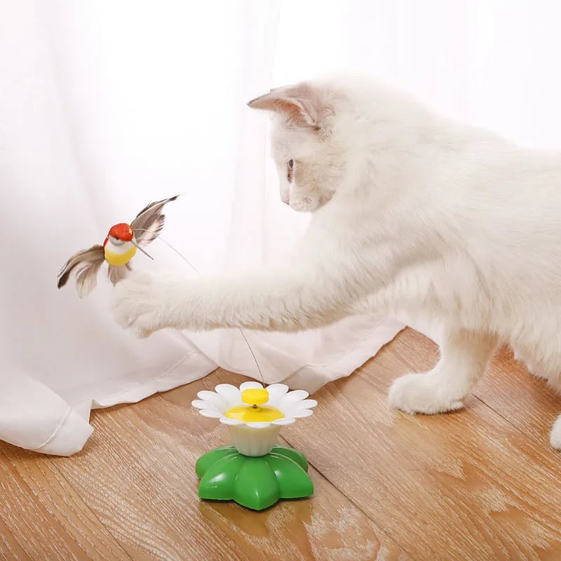 🔥2023 HOT SALE - Electric Bird Teasing Cat Toy
